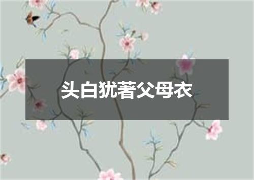 头白犹著父母衣