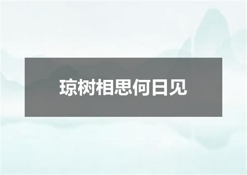 琼树相思何日见