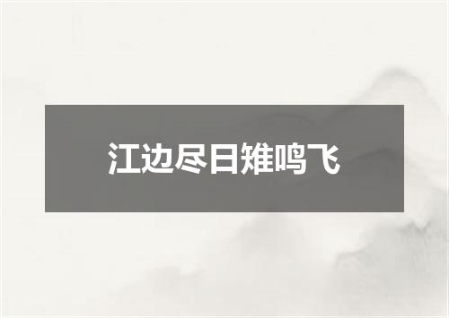 江边尽日雉鸣飞