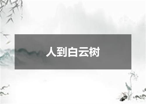 人到白云树