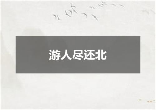 游人尽还北