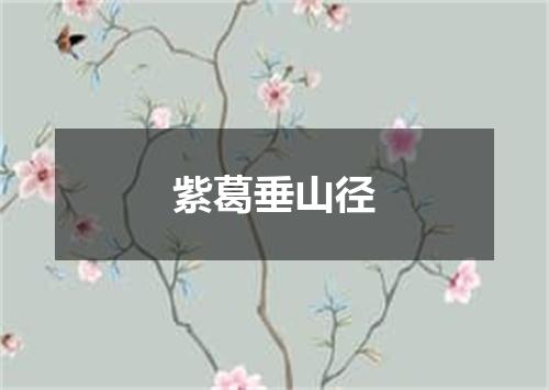 紫葛垂山径