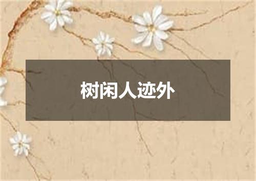 树闲人迹外