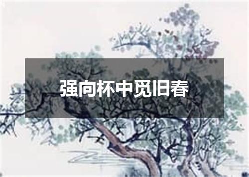 强向杯中觅旧春
