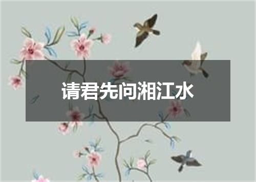 请君先问湘江水