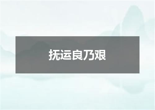 抚运良乃艰