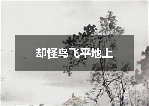 却怪鸟飞平地上
