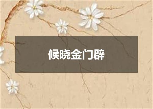 候晓金门辟
