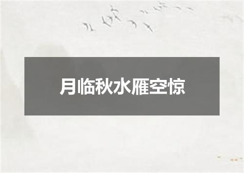 月临秋水雁空惊