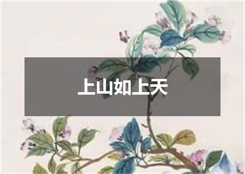 上山如上天