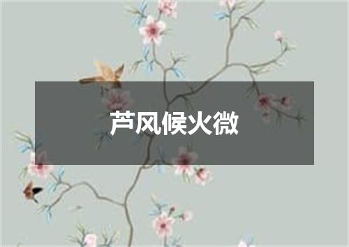 芦风候火微