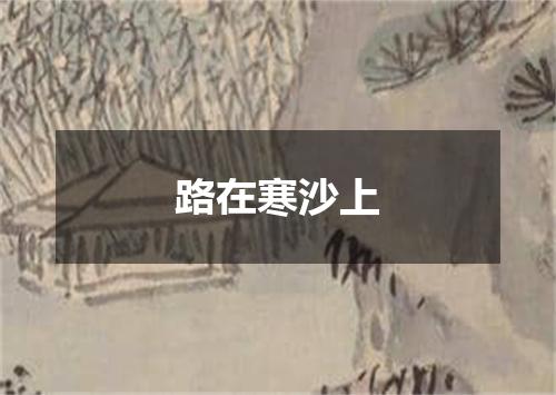 路在寒沙上
