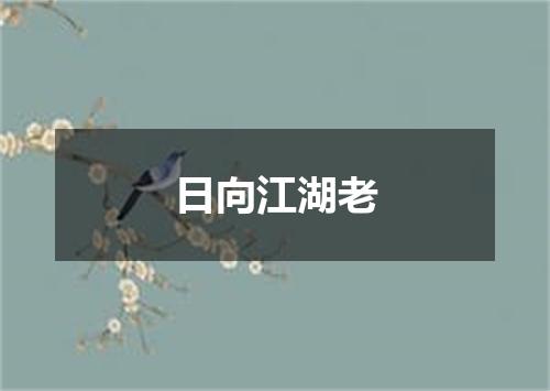日向江湖老