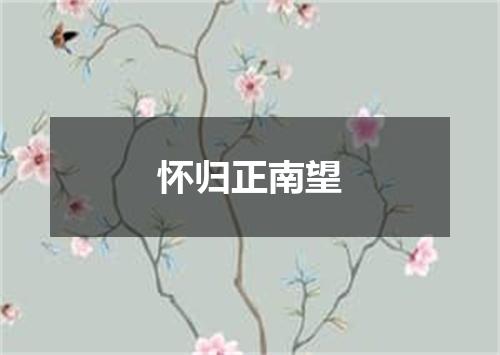 怀归正南望