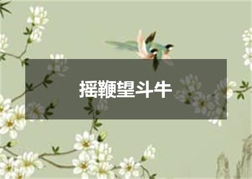 摇鞭望斗牛