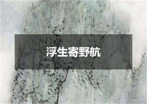 浮生寄野航