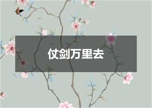 仗剑万里去