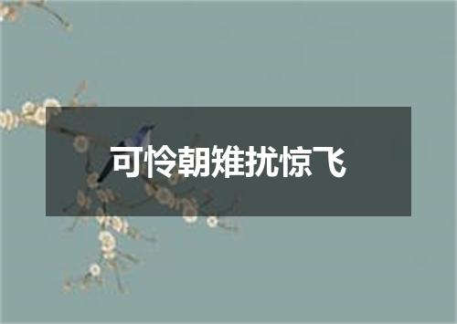 可怜朝雉扰惊飞