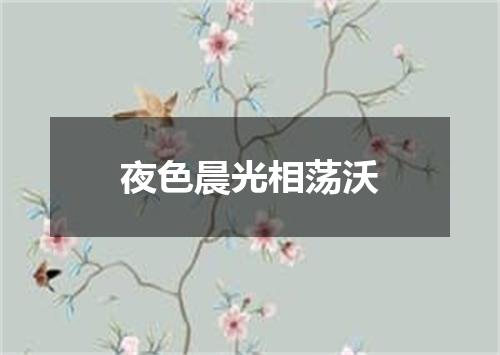 夜色晨光相荡沃