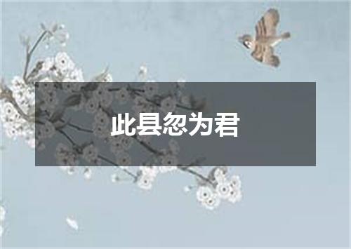 此县忽为君