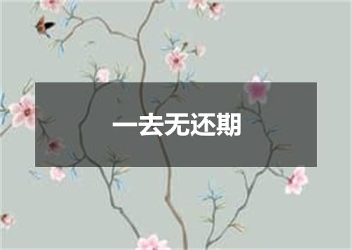 一去无还期