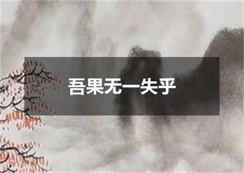 吾果无一失乎