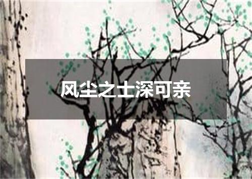 风尘之士深可亲