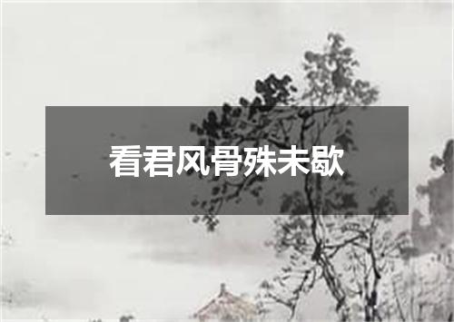 看君风骨殊未歇