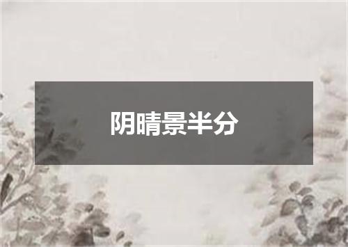 阴晴景半分