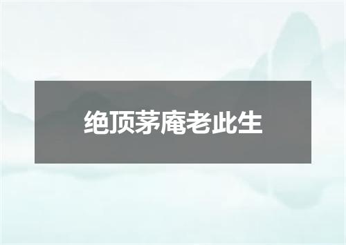 绝顶茅庵老此生