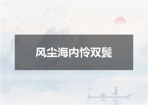 风尘海内怜双鬓