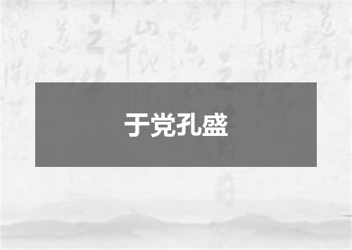于党孔盛