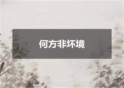 何方非坏境