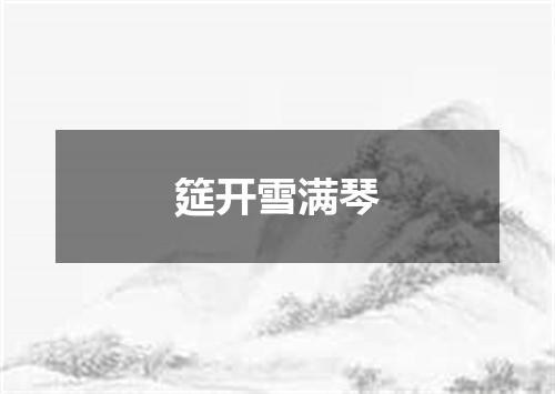 筵开雪满琴