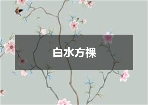 白水方祼