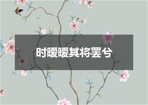 时暧暧其将罢兮