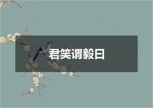 君笑谓毅曰