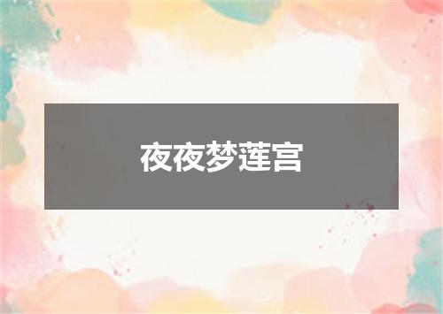 夜夜梦莲宫