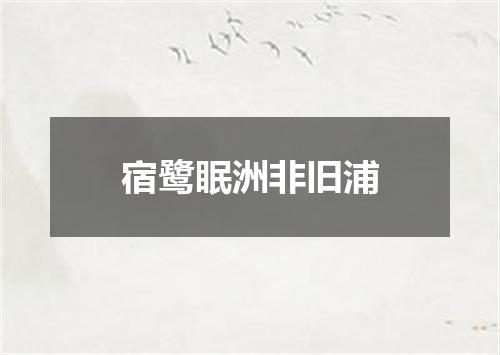 宿鹭眠洲非旧浦