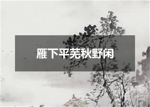 雁下平芜秋野闲