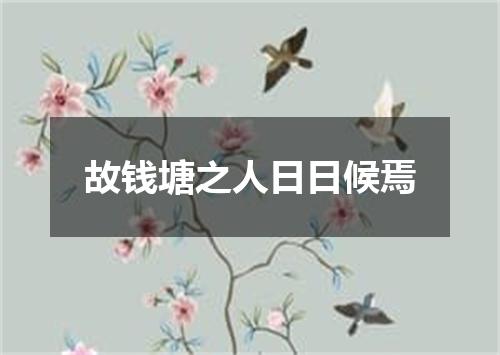 故钱塘之人日日候焉