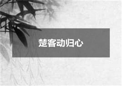 楚客动归心