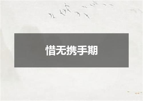 惜无携手期
