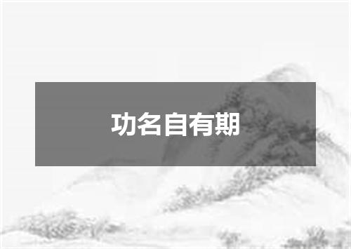 功名自有期