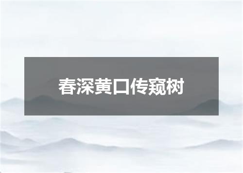 春深黄口传窥树