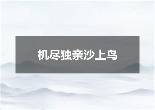 机尽独亲沙上鸟