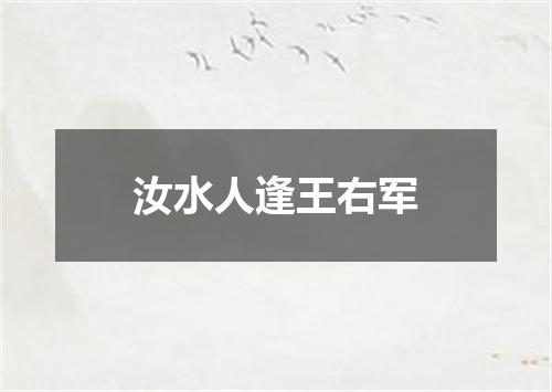 汝水人逢王右军