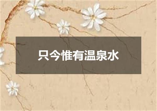 只今惟有温泉水