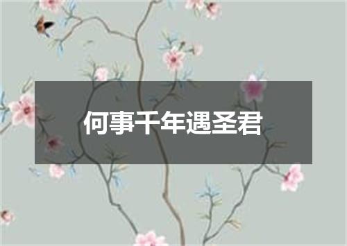 何事千年遇圣君