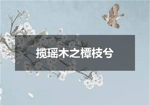 揽瑶木之橝枝兮